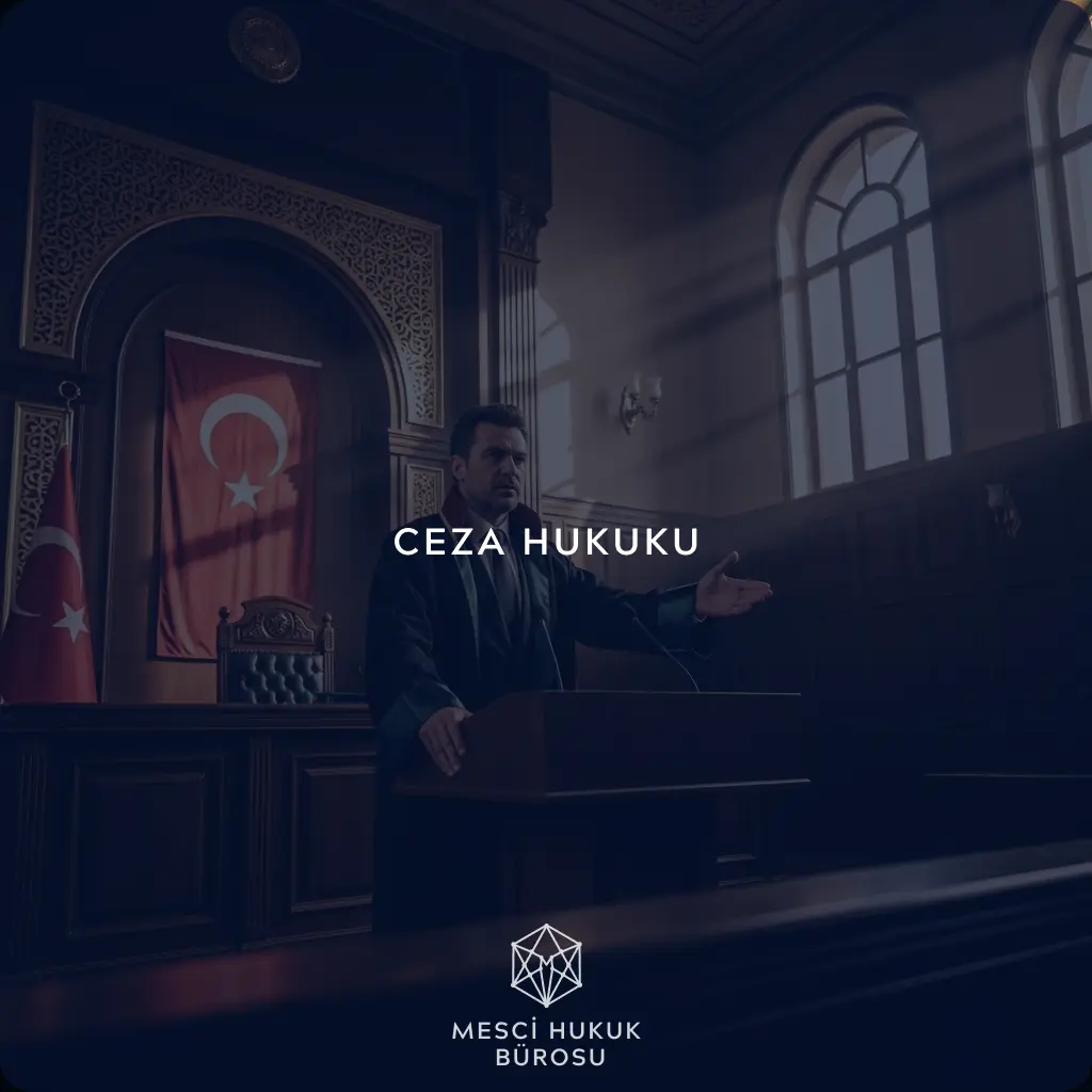 Mahkemede savunma yapan bir ceza avukati turkiye istanbul