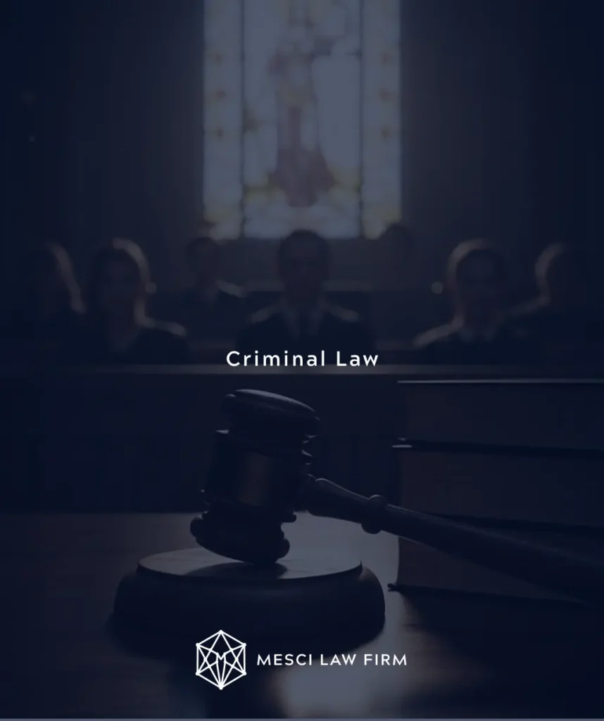 criminal lawyer in turkey