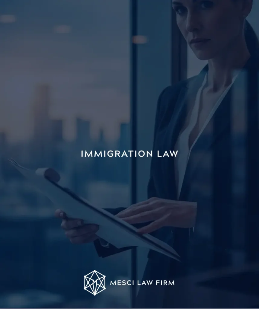 IMMIGRATION LAW