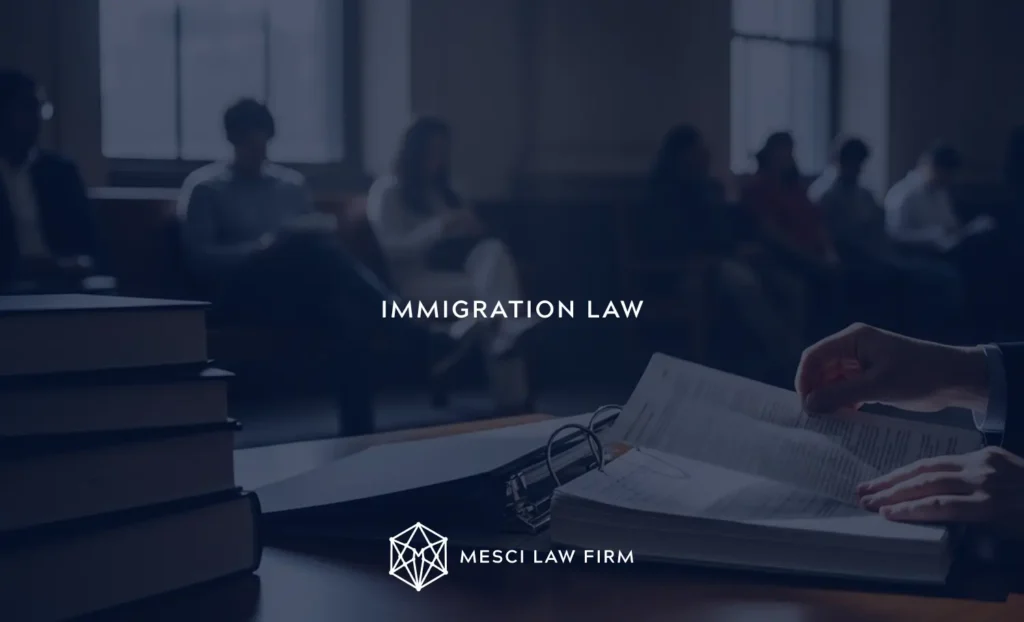 IMMIGRATION LAW